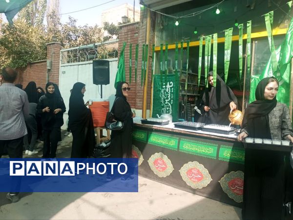 پیاده‌روی جاماندگان اربعین، راهیان کربلای ایران مشهداردهال