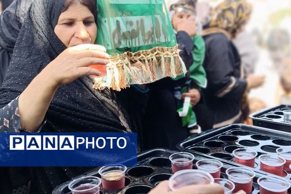 همایش بزرگ شیرخوارگان حسینی در حسینیه ثارالله یاسوج