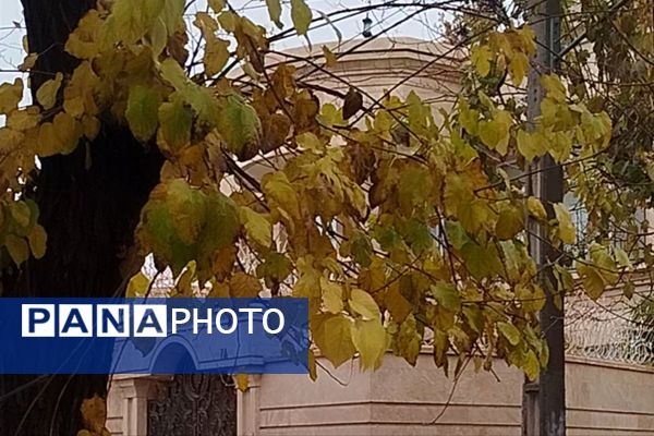 جلوه هایی از باران پاییزی در کاشمر