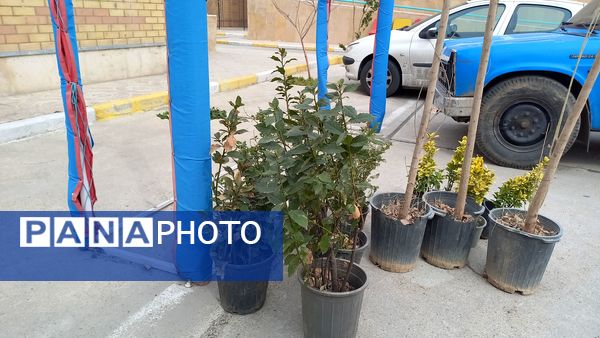 دوستی با طبیعت و شور و حال دانش‌آموزان دبیرستان فرزانگان استعداد درخشان ملارد