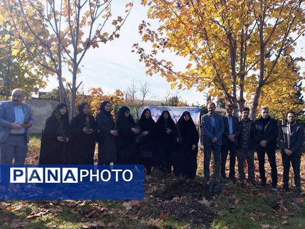 پویش سراسری کاشت نهال در سایه مادر همزمان با ایام ولادت حضرت زهرا (س) در میاندورود 