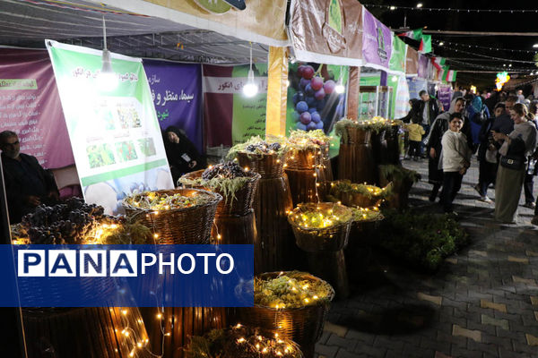 هشتمین جشنواره انگور ارومیه