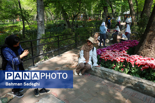 فصل لاله‌ها در بوستان باغ ایرانی