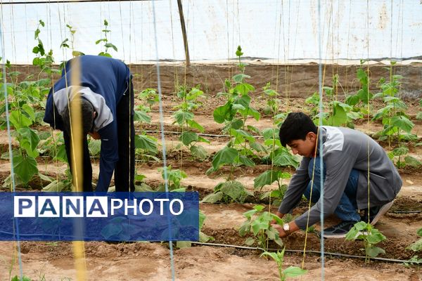 بازدید فرماندار و مدیر آموزش و پرورش مه ولات از مجموعه هنرستان کشاورزی امام خمینی (ره)