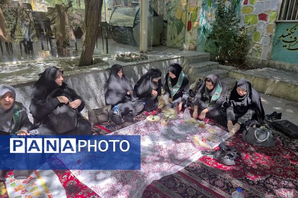 همدان میزبان اردوی مهارتی ناحیه ۲ شد