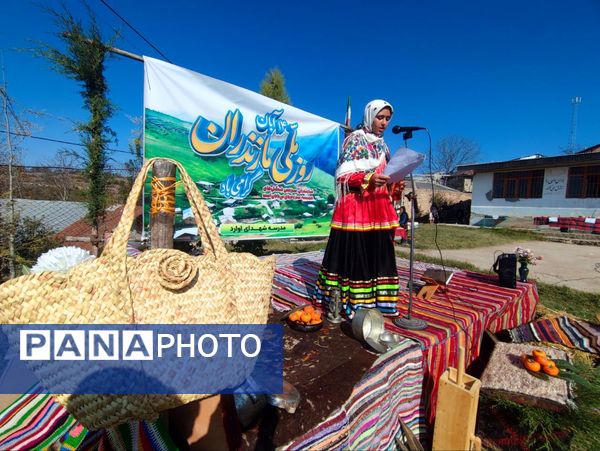  روایت طبیعت، هنر و اصالت