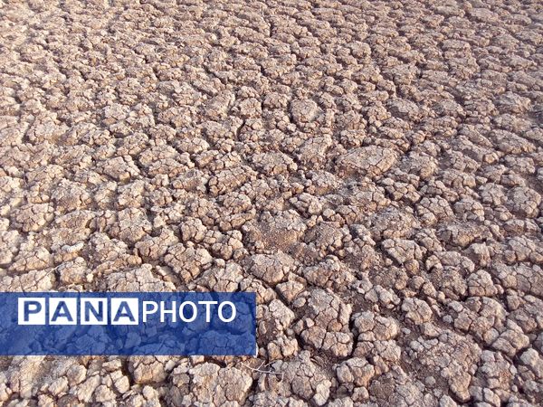 اشک های آخر یک سد در جلگه ای که روزی سبز بود