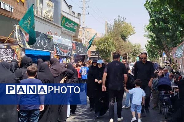 عاشقان حسینی در اربعین، از اندیشه تا کربلا