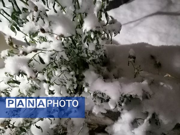 گذری بر بارش برف زمستانی در شهر بار