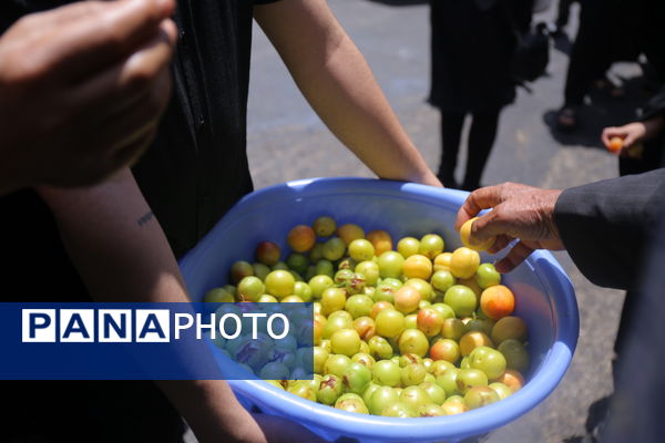 ظهر عاشورایی شهر اولین‌ها