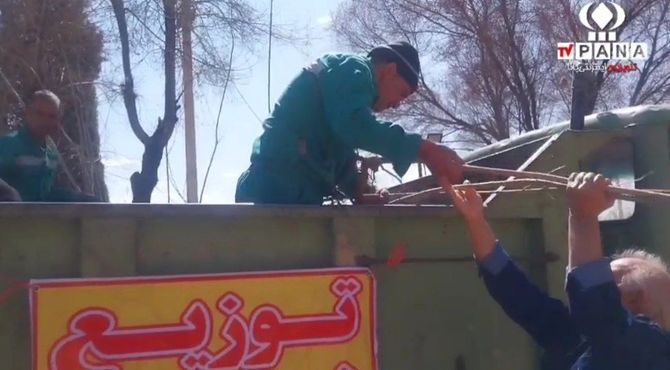 توزیع نهال  در پارک ملت شهرضا به مناسبت روز درختکاری