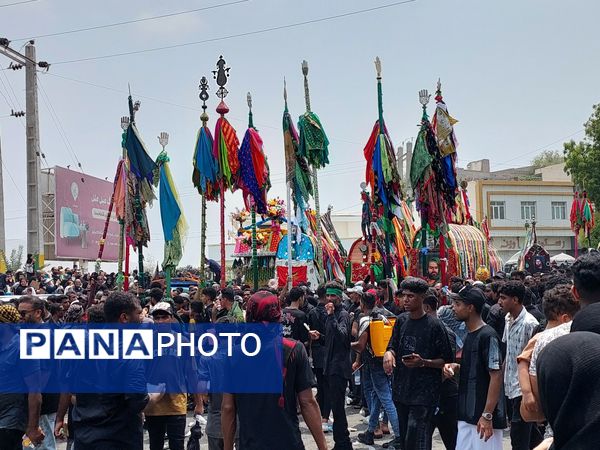 برگزاری آئین «شیر و کتل» در میناب 