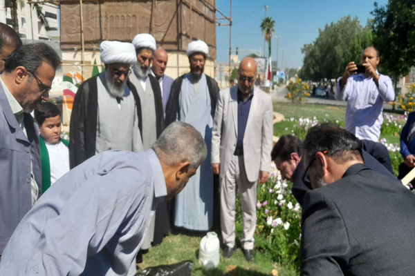 کاشت درخت زیتون در فلکه قدس بوشهر