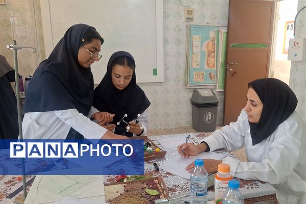 جشنواره خوارزمی فرصتی برای کشف استعدادهای دانش‌آموزان 