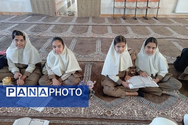 پویش کیف سبک-ذهن پربار