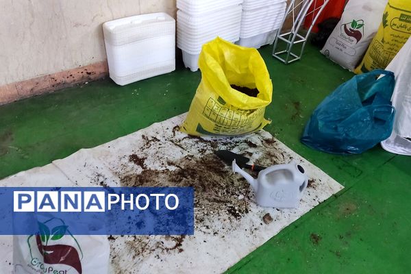 آغاز اردوی سفیران سلامت برای ساختن آینده‌ای سالم