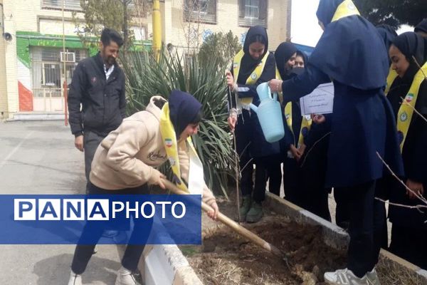 کاشت نهال به مناسبت روز درخت کاری دردبیرستان شهید مجید دهنوی 