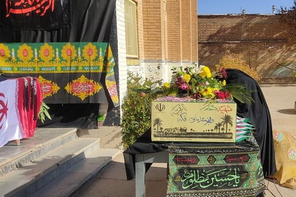 پرستو بی‌نام  در آشیانه شهر دستنا 