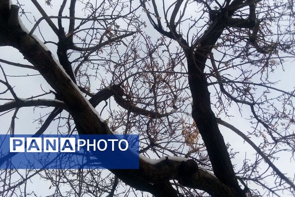 برف زمستانی در شهرستان بن 