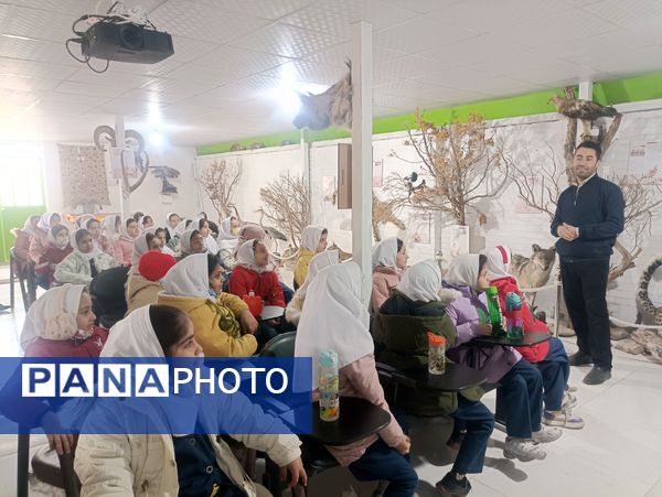 بازدید دبستان دخترانه شاهد۲ حضرت رقیه(س)، از موزه حیات وحش شیروان