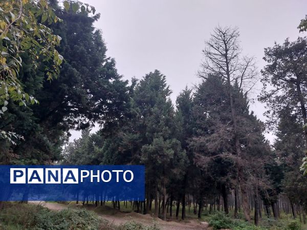 کردکوی، سرسبزترین شهرستان گلستان