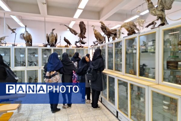 بازدید دانش‌آموزان از موزه زمین شناسی و جانور شناسی دانشگاه فردوسی مشهد