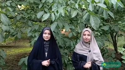 تمیزی محیط زیست، مسئولیتی همگانی برای آینده‌ای سبز