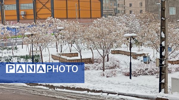 سپیدی بر چهره نیشابور، لبخند پاییز بر دیار فیروزه‌ای
