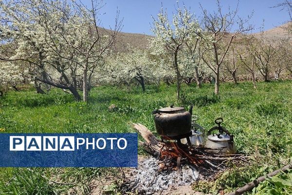 شهر زیبای بار، بهشت نیشابور