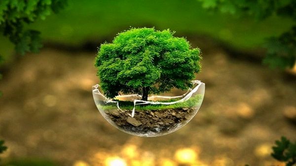 آموزش‌های محیط‌زیستی، نقشی مهم در شکل‌گیری عادت‌های درست دانش‌آموزان دارد