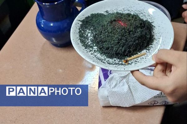 آزمایش، کشف، پژوهش؛ شیمی زنده در دبیرستان نمونه امیرالمؤمنین(ع)