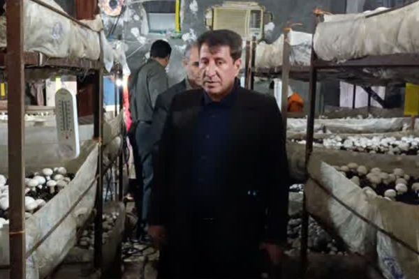 سرپرست فرمانداری کوهدشت و رئیس جهاد کشاورزی از کارگاه تولید قارچ «کوثر» بازدید کردند
