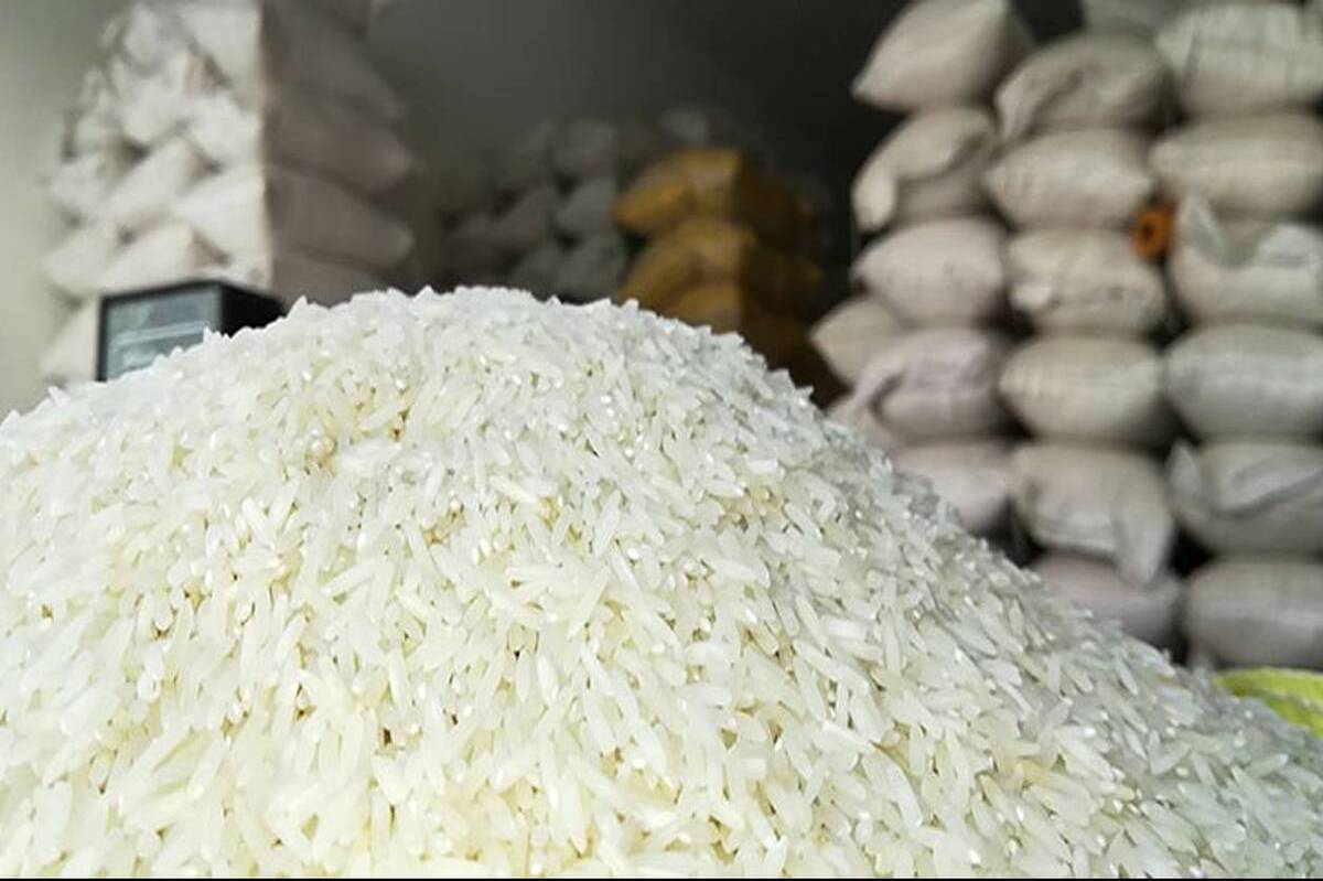 واردکنندگان برنج در انتظار ارز، مجوز و قرارداد با شرکت دولتی
