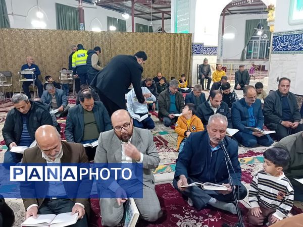 جشن میلاد امام علی علیه السلام در امامزاده سید محمد(ع)کاشمر