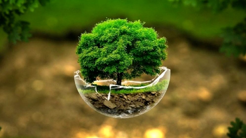 پویش ایران سرسبز؛روایت امید از دل سرزمین ما