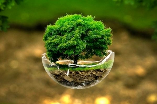 پویش ایران سرسبز؛روایت امید از دل سرزمین ما