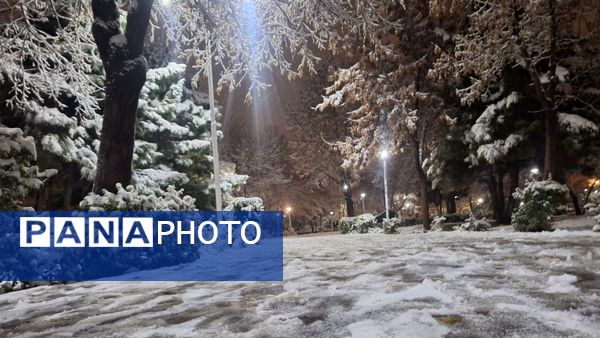 پارک‌های شهر مشهد در آغوش برف