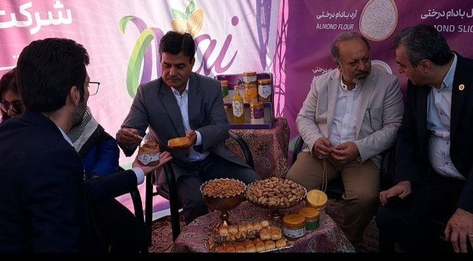 شکوفه‌های بادام ؛ شکوفایی سامان