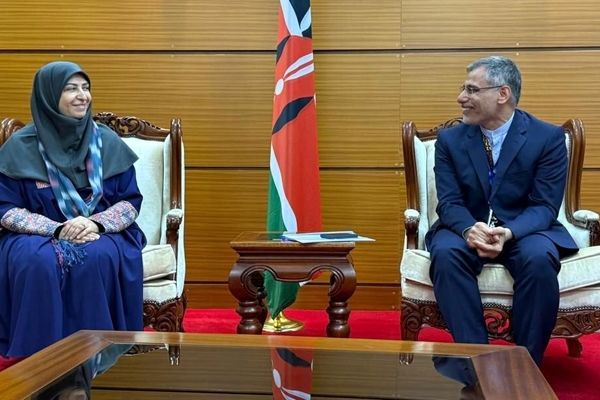 اعلام مهم‌ترین برنامه‌های شینا انصاری در اجلاس عمومی محیط زیست ملل متحد در کنیا