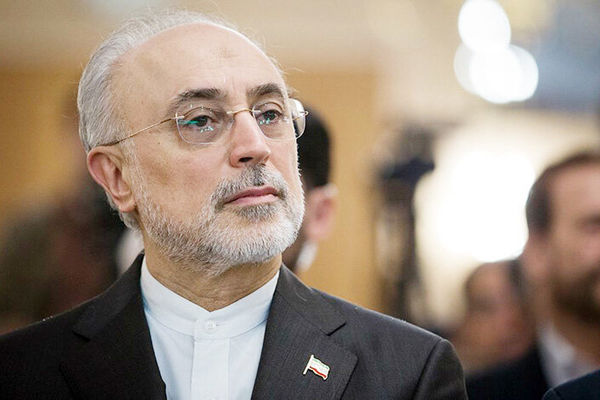 صالحی: شهید امیرعبداللهیان مردی از تبار عقلانیت در میدان عمل بود