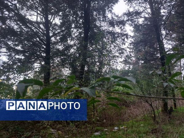 کردکوی، سرسبزترین شهرستان گلستان