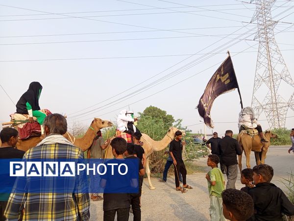 آیین باشکوه کاروان شام تا کربلا در میناب
