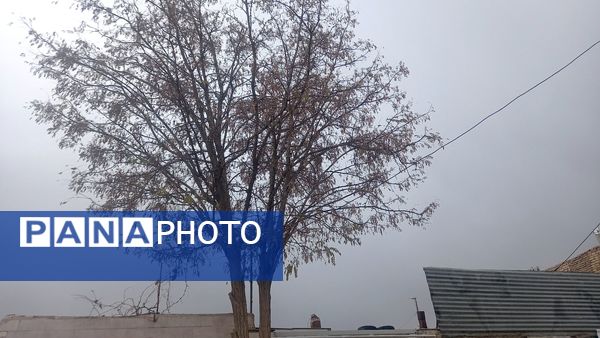 بارش  باران پاییزی در نیشابور