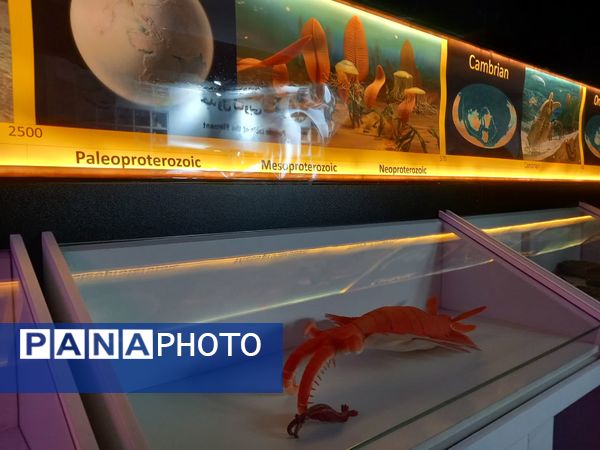 بازدید از پارک علمی تفریحی پروفسور بازیما مشهد