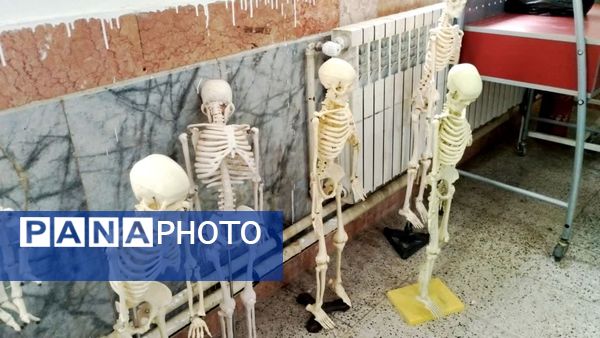 نمایشگاه  دستاوردهای علمی و تحقیقاتی دانش‌آموزان کلات