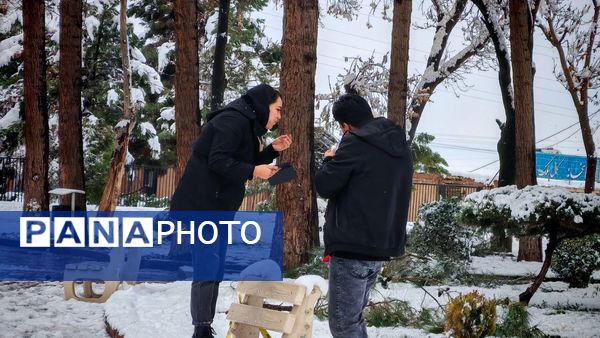 وقتی زمین زیر لحاف سفید برف به خواب میرود