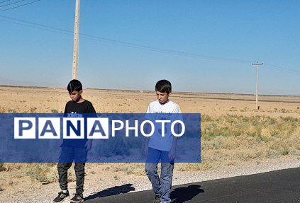 پیاده‌روی زائران جامانده ازحرم رضوی در شهرستان بام و صفی آباد