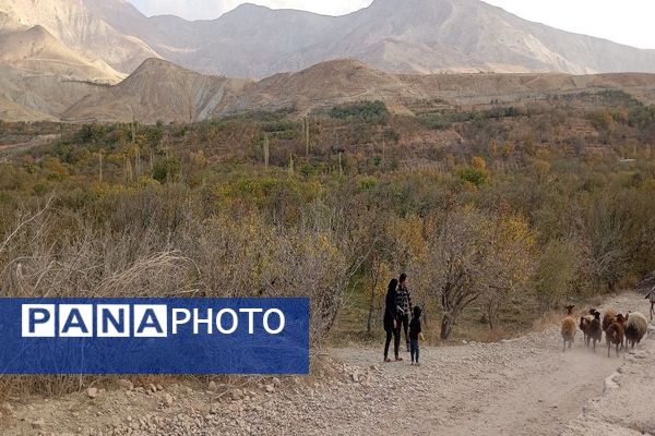 تصاویر زیبا از پاییز رنگارنگ در شهر دار السادات بار نیشابور 