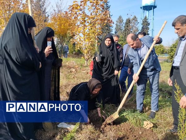 پویش سراسری کاشت نهال در سایه مادر همزمان با ایام ولادت حضرت زهرا (س) در میاندورود 