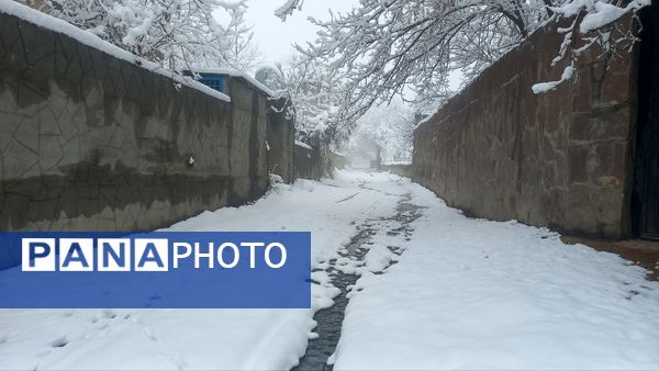 بارش برف در ارتفاعات شاندیز